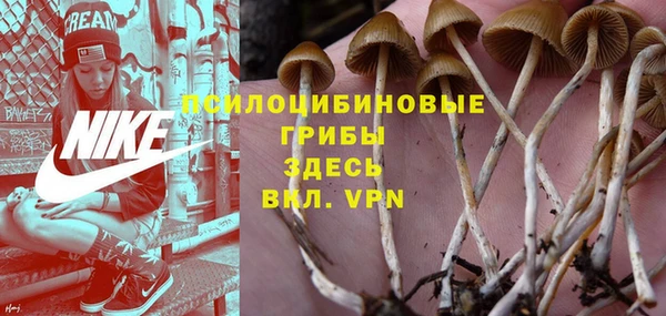 MESCALINE Алзамай
